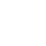 Ikona