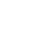Ikona